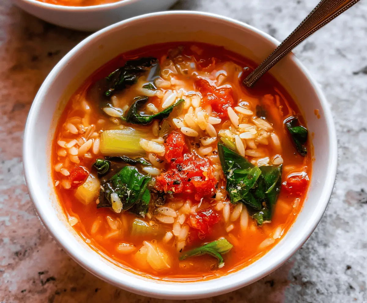 A steaming bowl of Italian Orzo Soup garnished with fresh herbs and grated cheese, showcasing a hearty and comforting Mediterranean-inspired dish.